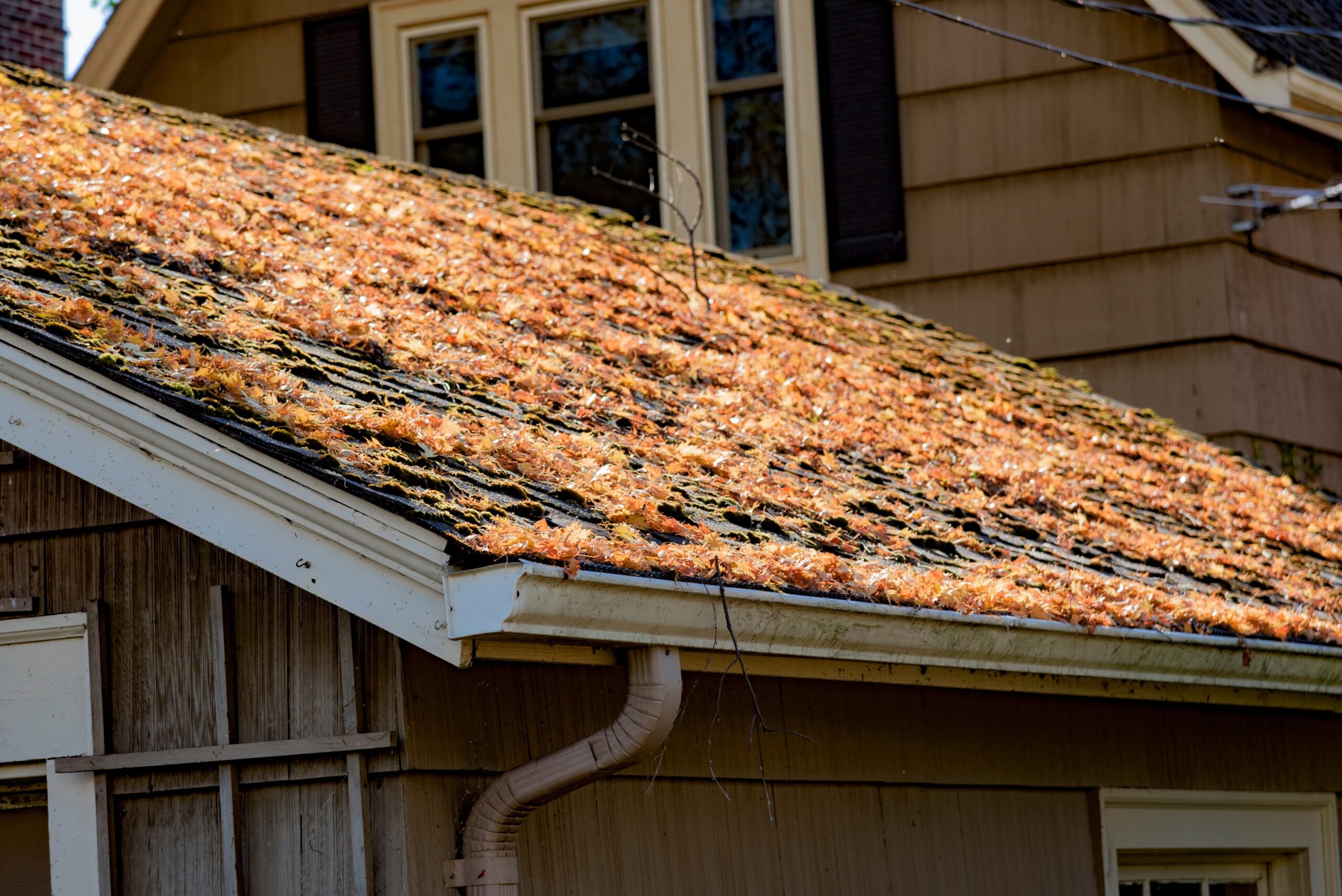 autumn leaves on shingled roof with rain gutters 2021 09 01 13 53 18 utc scaled