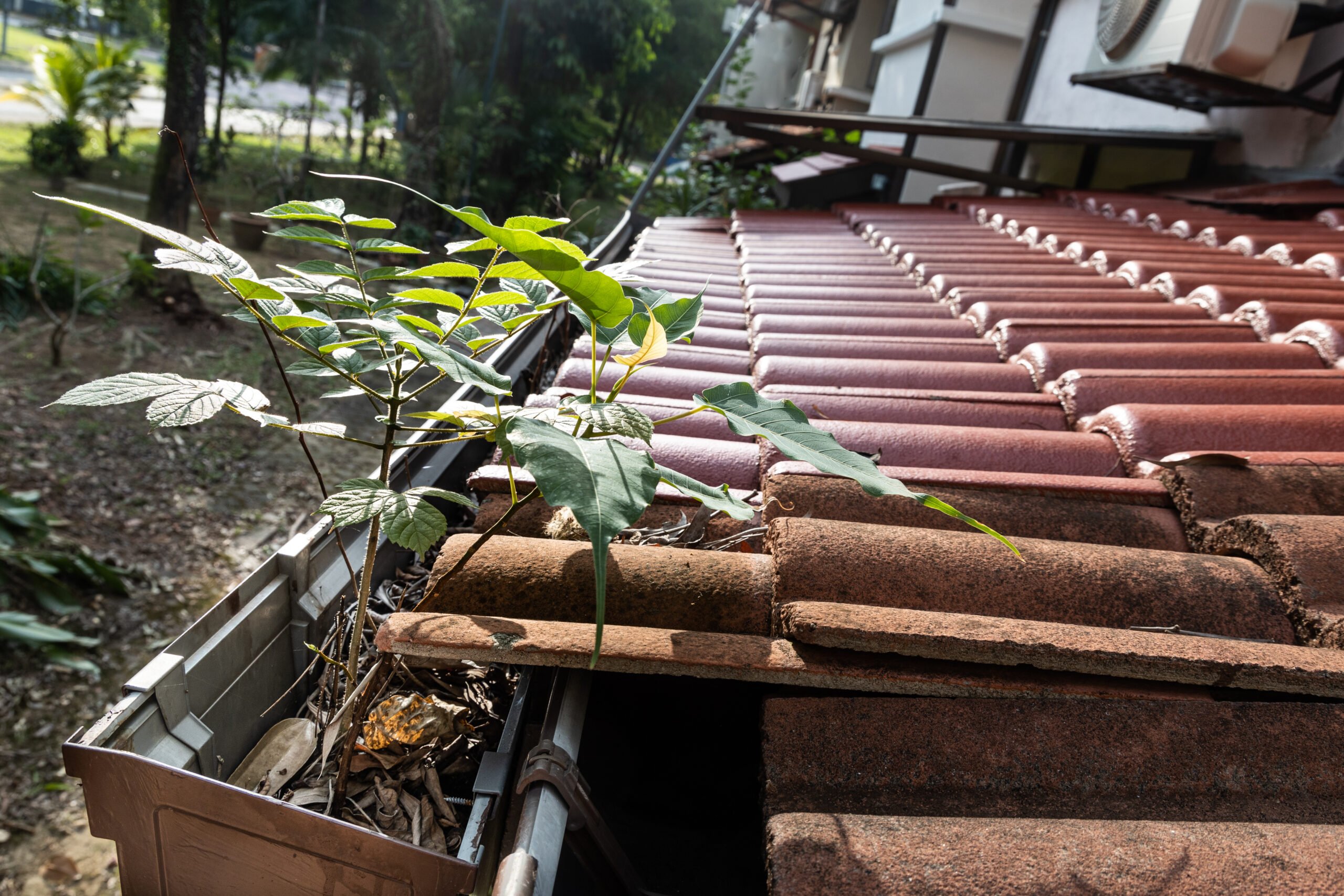 close up of clogged roof rain gutter full of dry l 2021 09 04 07 17 17 utc scaled