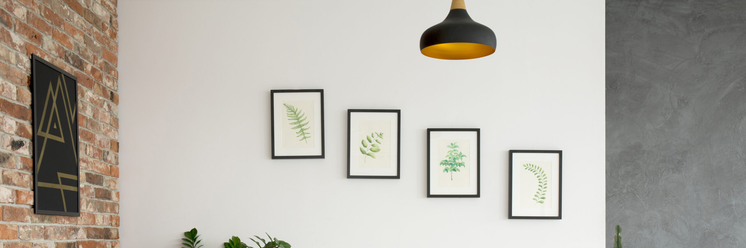 Wall with pictures of plants